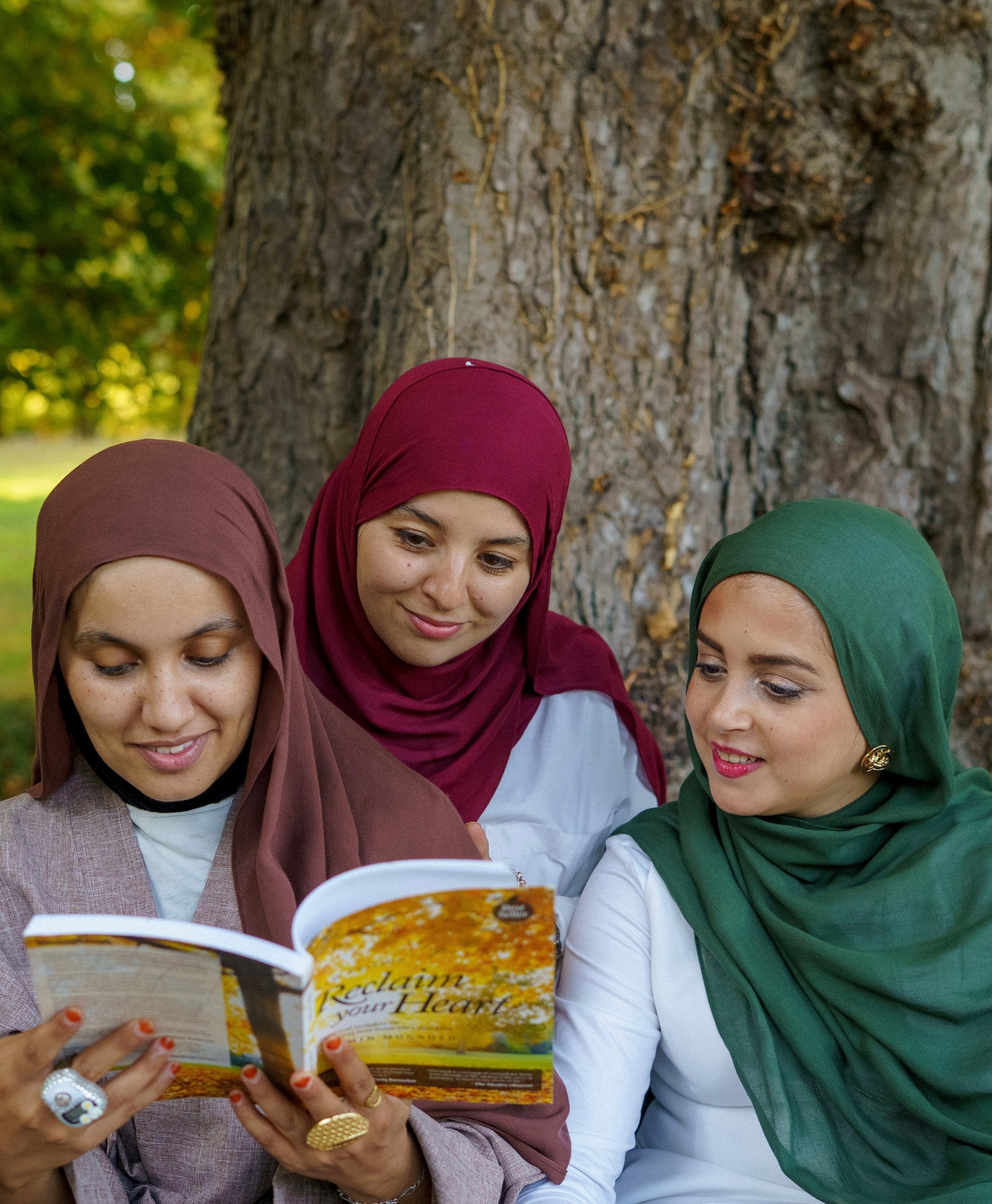 Le Autumn Trio - Modal Premium