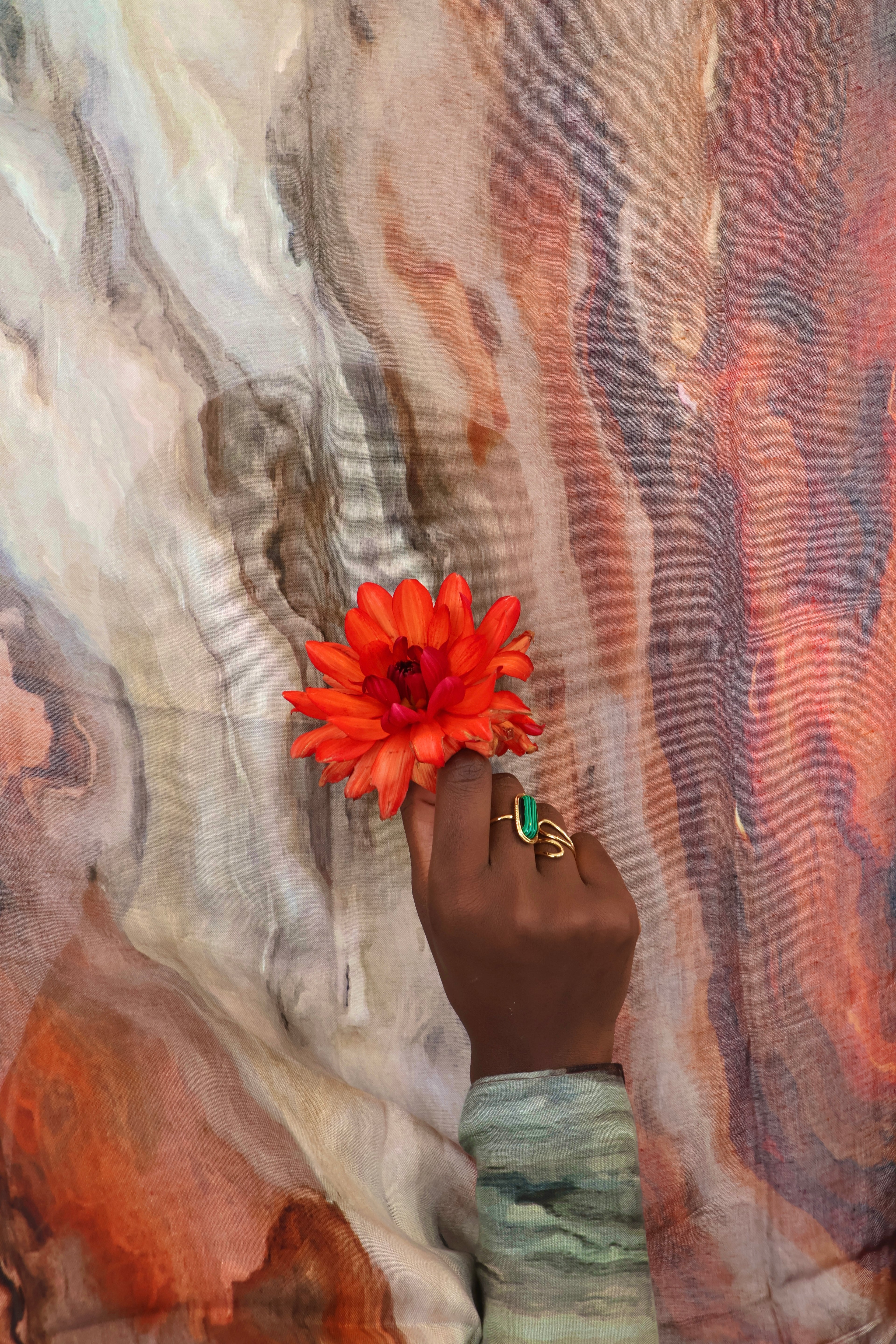 Caramel Praline - Modal Premium