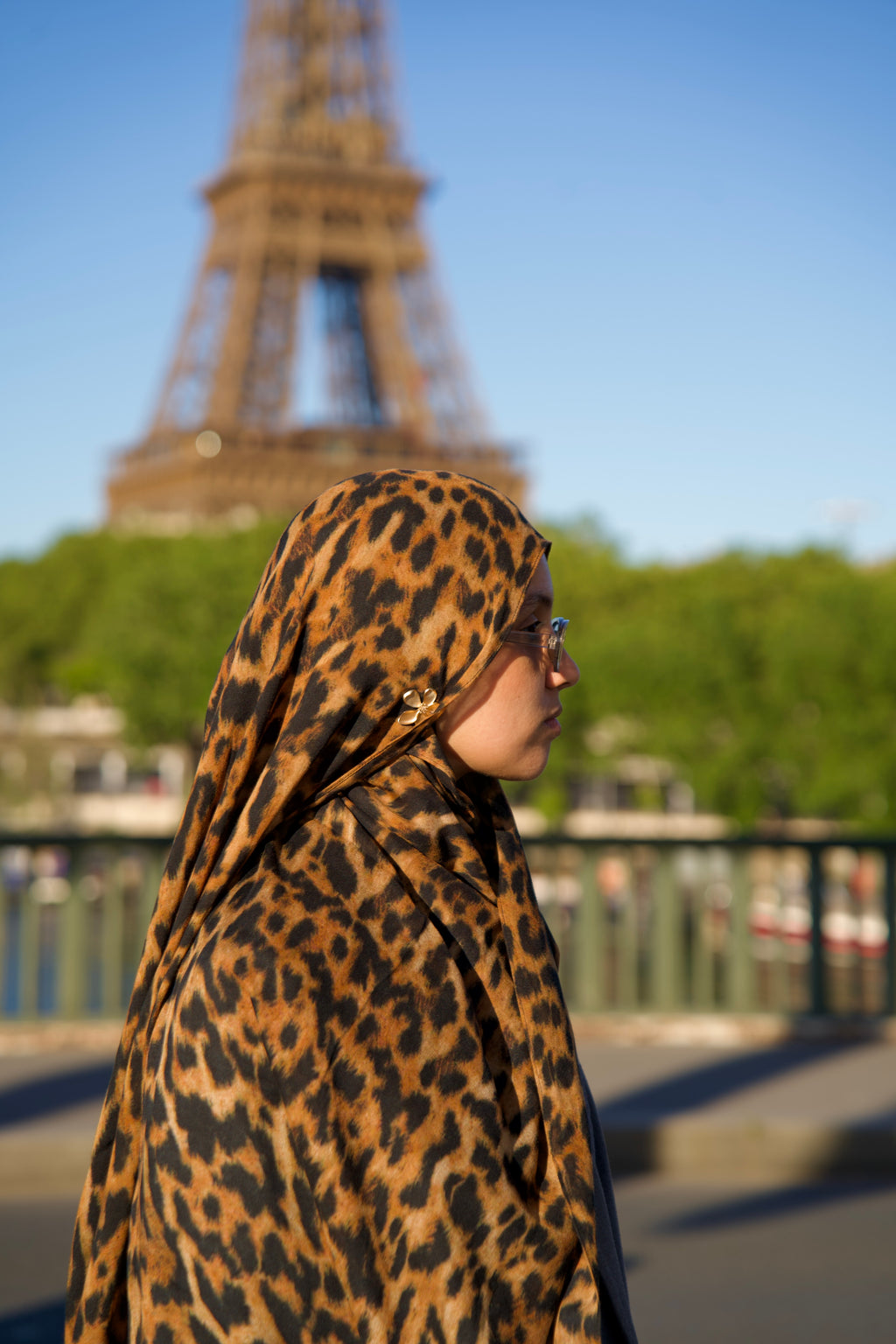 Leopard Safari - Modal premium